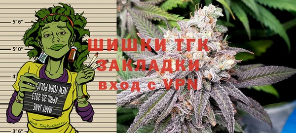 МДПВ Краснослободск