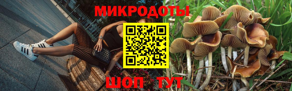 где можно купить   Вход с VPN  Псилоцибиновые грибы мухоморы  Бутурлиновка  Псилоцибиновые грибы Magic Shrooms 