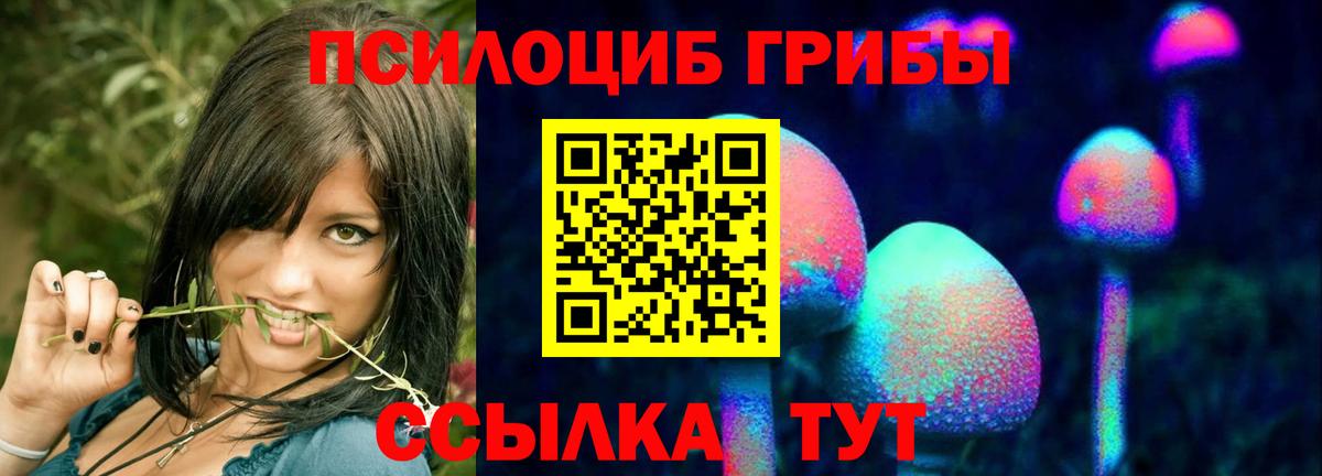Псилоцибиновые грибы прущие грибы Бутурлиновка