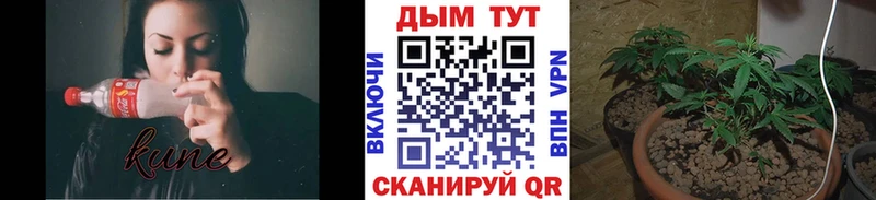 Каннабис Amnesia  Бутурлиновка 